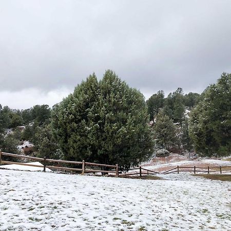 Multi-Family Rocking Horse Ranch With Sauna! Payson Extérieur photo