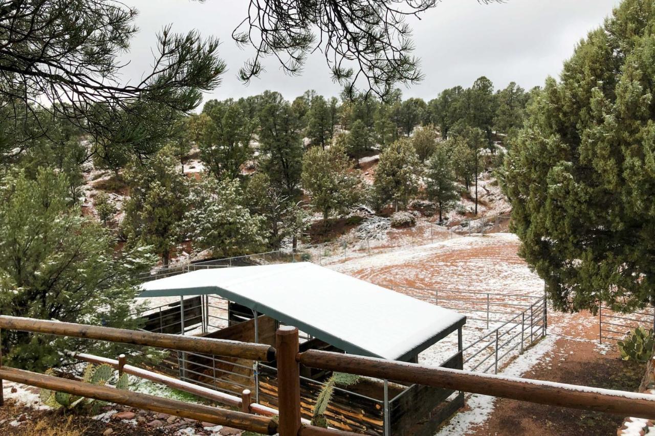 Multi-Family Rocking Horse Ranch With Sauna! Payson Extérieur photo